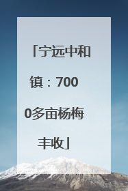 宁远中和镇：7000多亩杨梅丰收