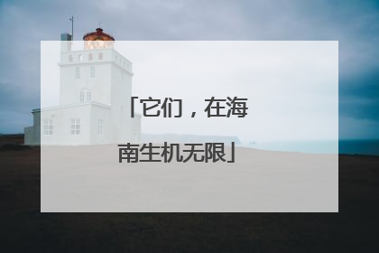 它们，在海南生机无限