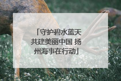 守护碧水蓝天 共建美丽中国 扬州海事在行动