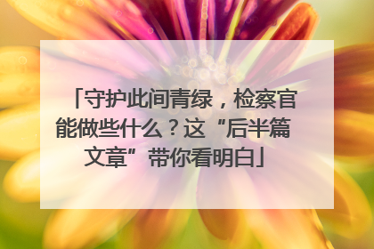 守护此间青绿，检察官能做些什么？这“后半篇文章”带你看明白