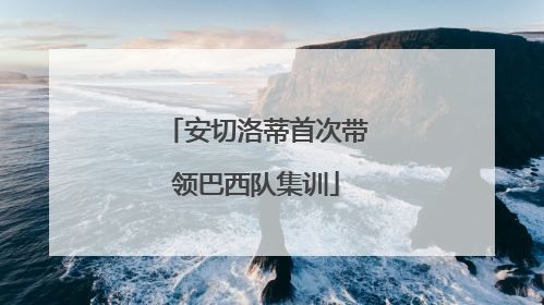 安切洛蒂首次带领巴西队集训