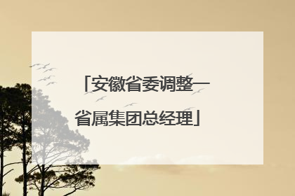 安徽省委调整一省属集团总经理