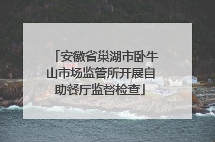 安徽省巢湖市卧牛山市场监管所开展自助餐厅监督检查