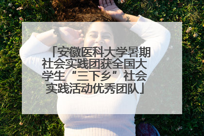 安徽医科大学暑期社会实践团获全国大学生“三下乡”社会实践活动优秀团队