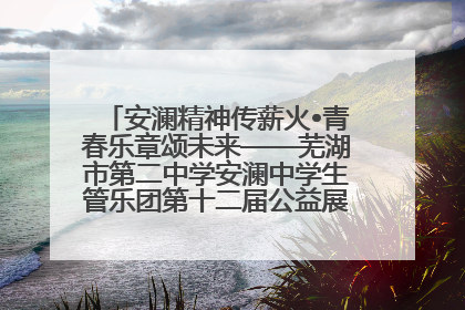 安澜精神传薪火•青春乐章颂未来——芜湖市第二中学安澜中学生管乐团第十二届公益展演圆满举行