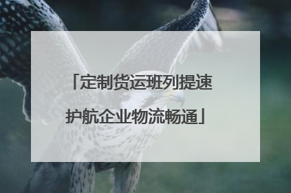定制货运班列提速 护航企业物流畅通