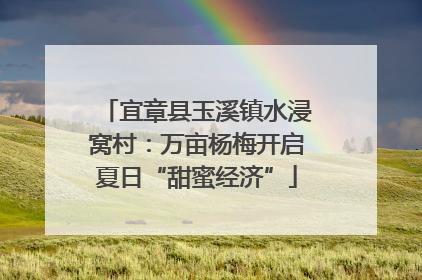 宜章县玉溪镇水浸窝村：万亩杨梅开启夏日“甜蜜经济”