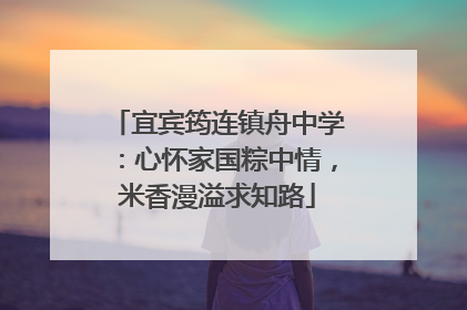 宜宾筠连镇舟中学：心怀家国粽中情，米香漫溢求知路