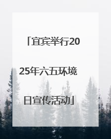 宜宾举行2025年六五环境日宣传活动