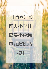 宜宾江安连天小学开展最小应急单元演练活动