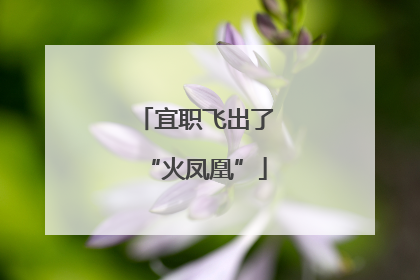 宜职飞出了“火凤凰”