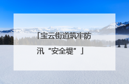 宝云街道筑牢防汛“安全堤”