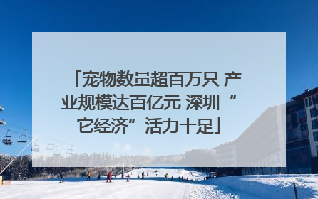 宠物数量超百万只 产业规模达百亿元 深圳“它经济”活力十足