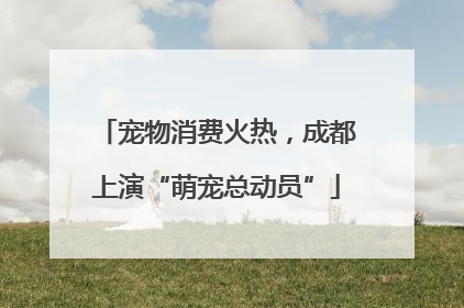 宠物消费火热，成都上演“萌宠总动员”