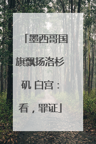 墨西哥国旗飘扬洛杉矶 白宫：看，罪证
