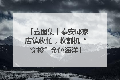 壹图集丨泰安邱家店镇收忙，收割机“穿梭”金色海洋