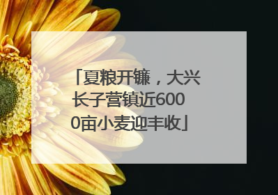 夏粮开镰，大兴长子营镇近6000亩小麦迎丰收