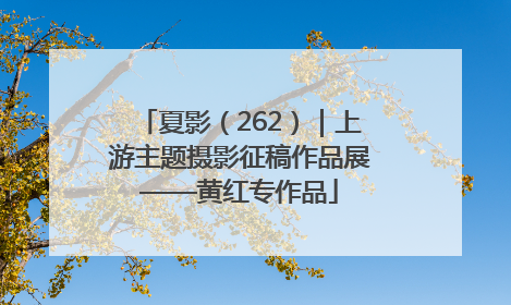 夏影（262）｜上游主题摄影征稿作品展——黄红专作品