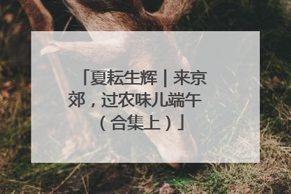 夏耘生辉｜来京郊，过农味儿端午（合集上）
