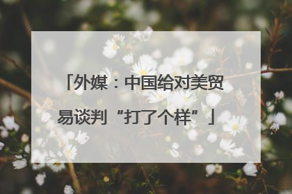 外媒：中国给对美贸易谈判“打了个样”