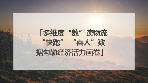 多维度“数”读物流“快跑” “喜人”数据勾勒经济活力画卷