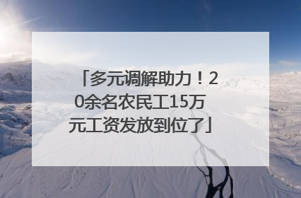 多元调解助力！20余名农民工15万元工资发放到位了