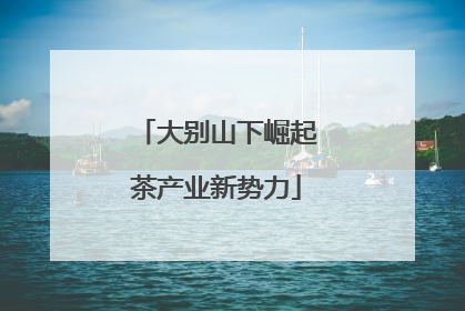 大别山下崛起茶产业新势力