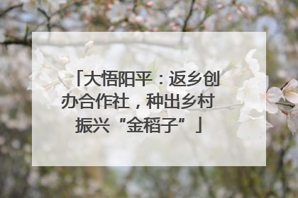 大悟阳平：返乡创办合作社，种出乡村振兴“金稻子”