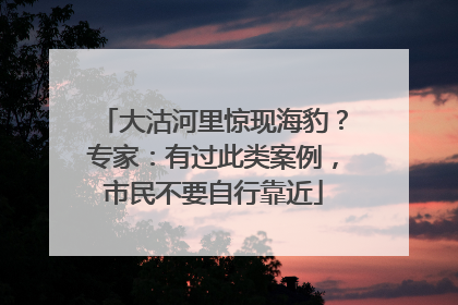 大沽河里惊现海豹？专家：有过此类案例，市民不要自行靠近