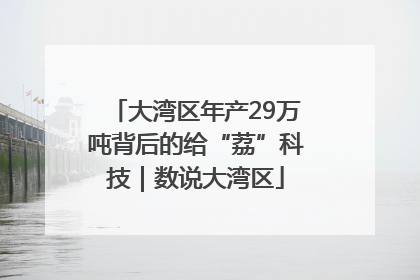 大湾区年产29万吨背后的给“荔”科技｜数说大湾区