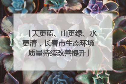 天更蓝、山更绿、水更清，长春市生态环境质量持续改善提升