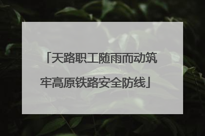 天路职工随雨而动筑牢高原铁路安全防线