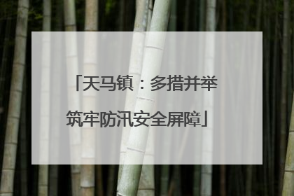 天马镇：多措并举筑牢防汛安全屏障