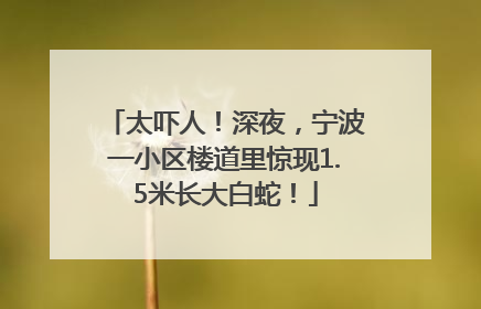 太吓人！深夜，宁波一小区楼道里惊现1.5米长大白蛇！