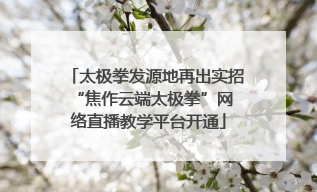 太极拳发源地再出实招 “焦作云端太极拳”网络直播教学平台开通