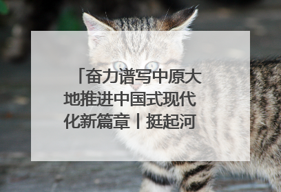 奋力谱写中原大地推进中国式现代化新篇章丨挺起河南制造硬脊梁