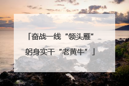 奋战一线“领头雁” 躬身实干“老黄牛”
