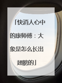 快消人心中的康师傅：大象是怎么长出翅膀的
