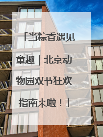 当粽香遇见童趣｜北京动物园双节狂欢指南来啦！