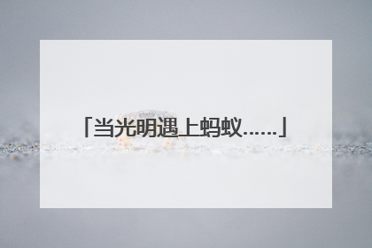 当光明遇上蚂蚁……
