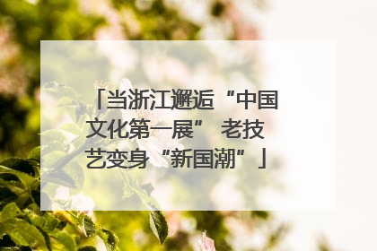 当浙江邂逅“中国文化第一展” 老技艺变身“新国潮”