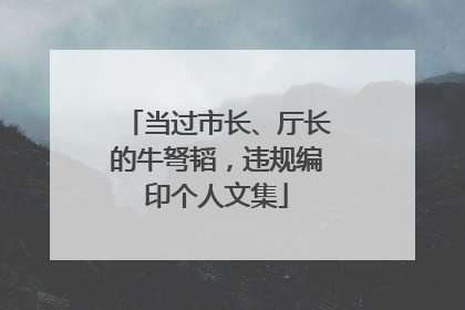 当过市长、厅长的牛弩韬，违规编印个人文集