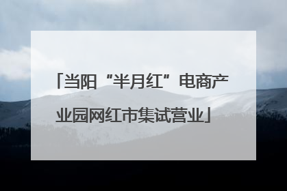 当阳“半月红”电商产业园网红市集试营业