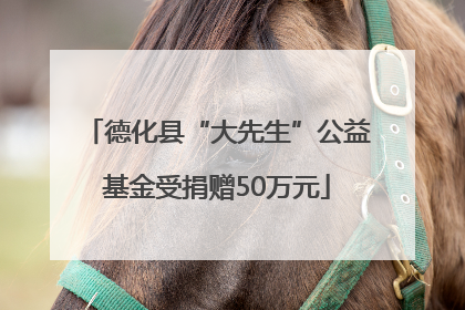 德化县“大先生”公益基金受捐赠50万元