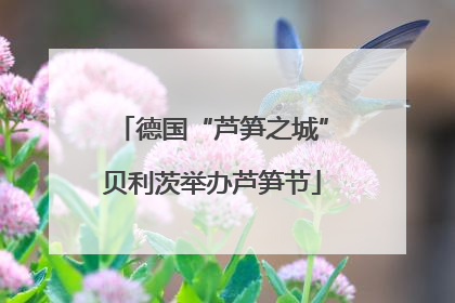 德国“芦笋之城”贝利茨举办芦笋节