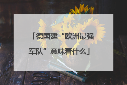 德国建“欧洲最强军队”意味着什么