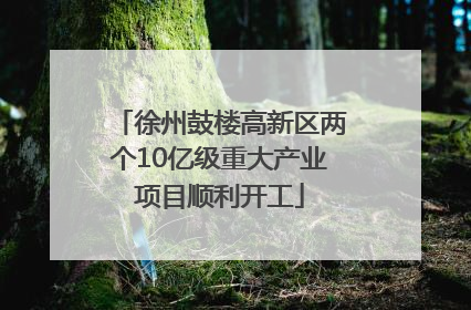 徐州鼓楼高新区两个10亿级重大产业项目顺利开工