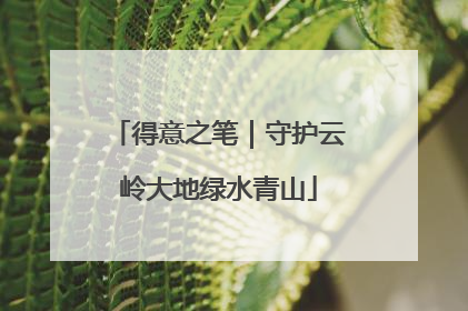 得意之笔｜守护云岭大地绿水青山