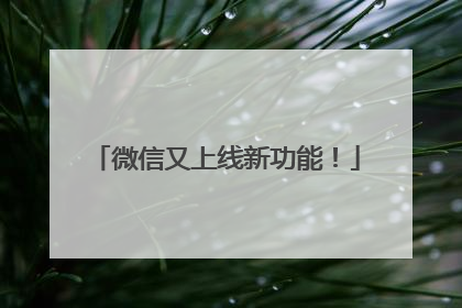 微信又上线新功能！