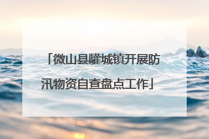 微山县驩城镇开展防汛物资自查盘点工作
